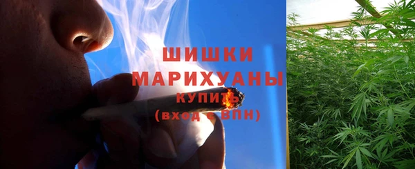 гашик Богородск