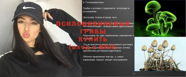дживик Белокуриха