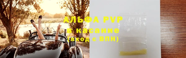 дживик Белокуриха