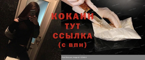 дживик Белокуриха