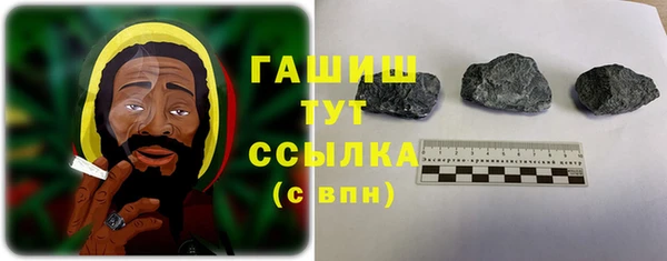 шишки Белоозёрский