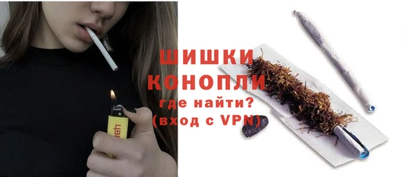 шишки Белоозёрский