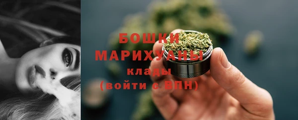 дживик Белокуриха