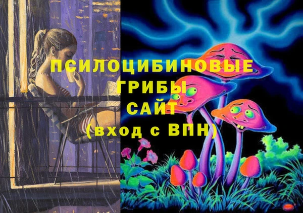шишки Белоозёрский