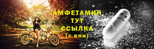 шишки Белоозёрский