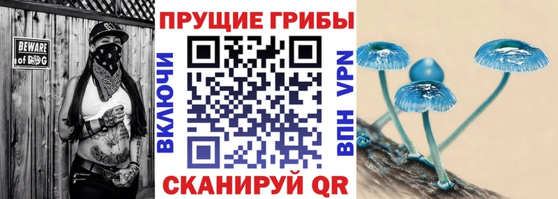 Галлюциногенные грибы Psilocybine cubensis Богородицк